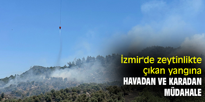 İzmir'de zeytinlikte çıkan yangına havadan ve karadan müdahale