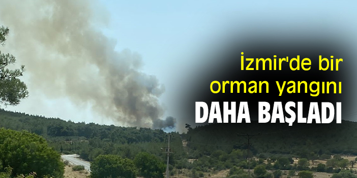 İzmir'de bir orman yangını daha başladı