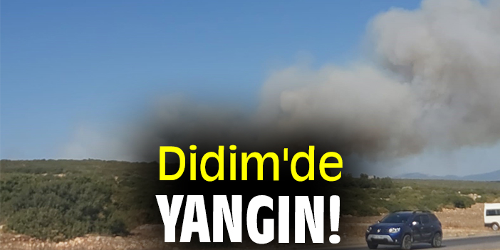 Didim'de yangın!