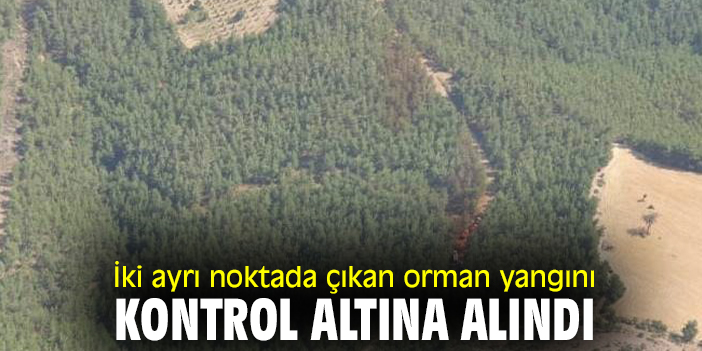 İki ayrı noktada çıkan orman yangını kontrol altına alındı