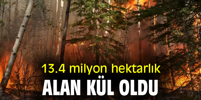 13.4 milyon hektarlık alan kül oldu
