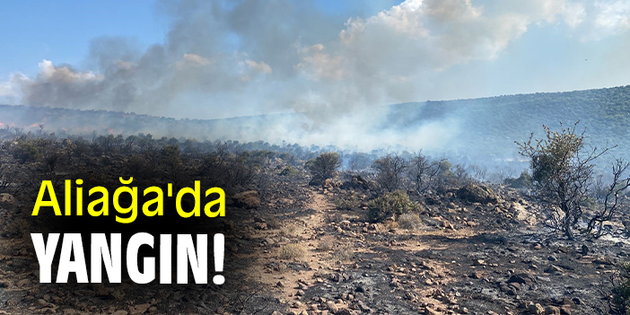 Aliağa'da yangın!
