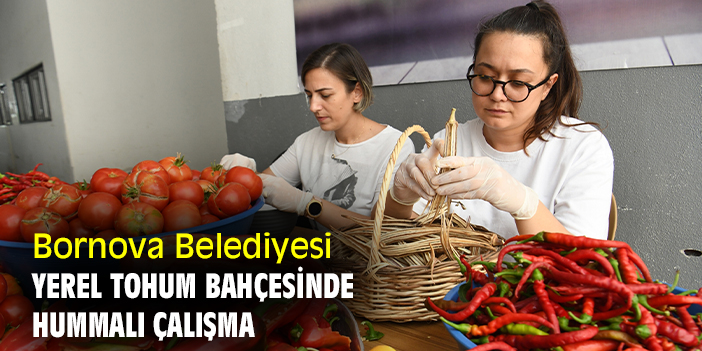 Bornova Belediyesi Yerel Tohum Bahçesinde hummalı çalışma