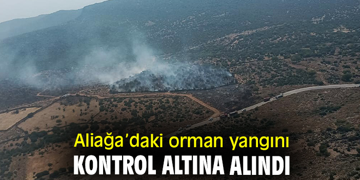 Aliağa’daki orman yangını kontrol altına alındı