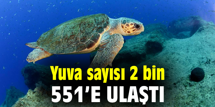 Yuva sayısı 2 bin 551’e ulaştı
