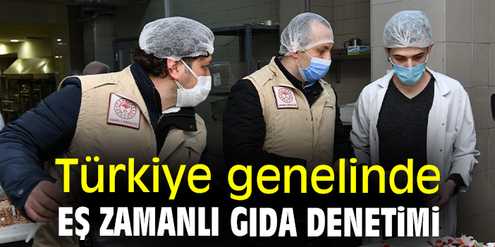 Türkiye genelinde eş zamanlı gıda denetimi