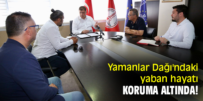 Yamanlar Dağı'ndaki yaban hayatı koruma altında!
