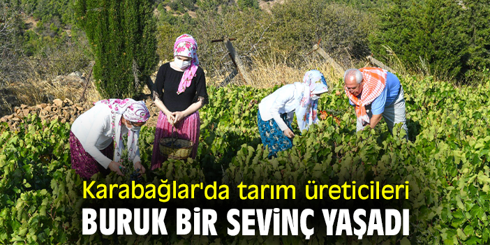 Karabağlar'da tarım üreticileri buruk bir sevinç yaşadı