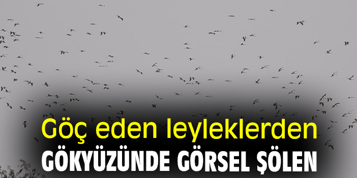 Göç eden leyleklerden gökyüzünde görsel şölen