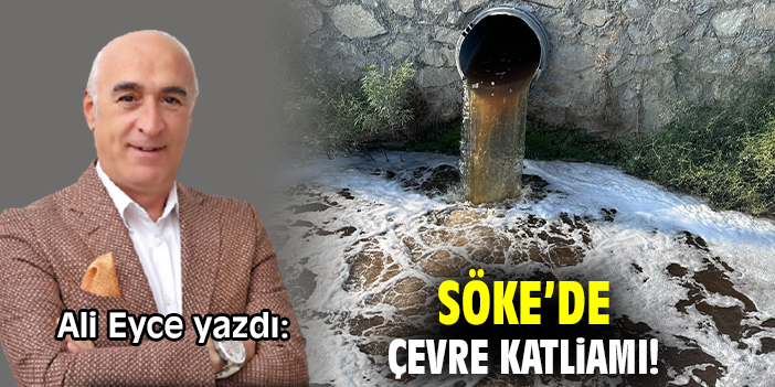Söke’de çevre katliamı!