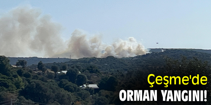 Çeşme'de orman yangını!