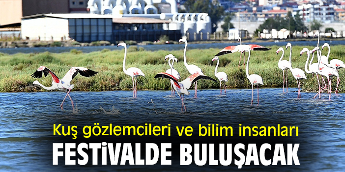 Kuş gözlemcileri ve bilim insanları festivalde buluşacak
