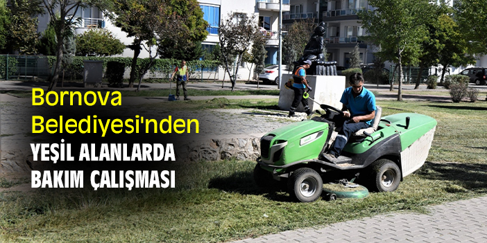 Bornova Belediyesi'nden yeşil alanlarda bakım çalışması