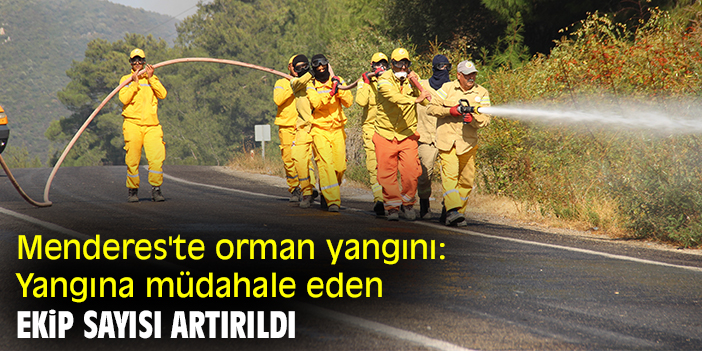 Menderes'te orman yangını: Yangına müdahale eden ekip sayısı artırıldı