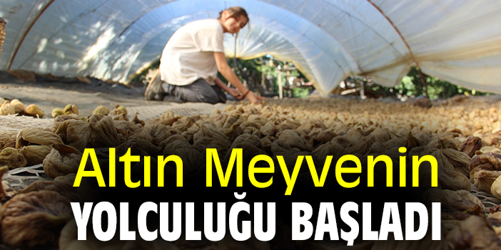 Altın Meyvenin yolculuğu başladı