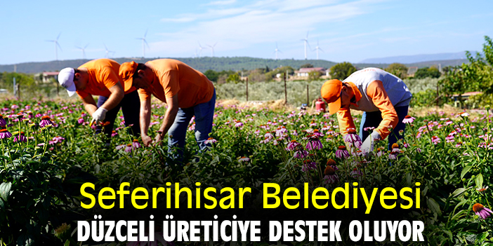 Seferihisar Belediyesi Düzceli üreticiye destek oluyor