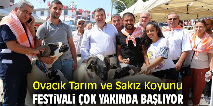 Ovacık Tarım ve Sakız Koyunu Festivali çok yakında başlıyor