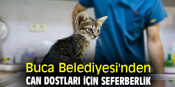 Buca Belediyesi'nden can dostları için seferberlik