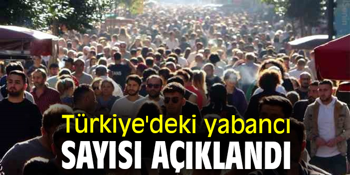 Türkiye'deki yabancı sayısı açıklandı