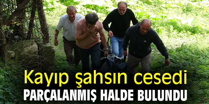 Kayıp şahsın cesedi parçalanmış halde bulundu