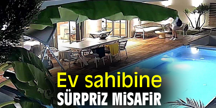 Ev sahibine sürpriz misafir