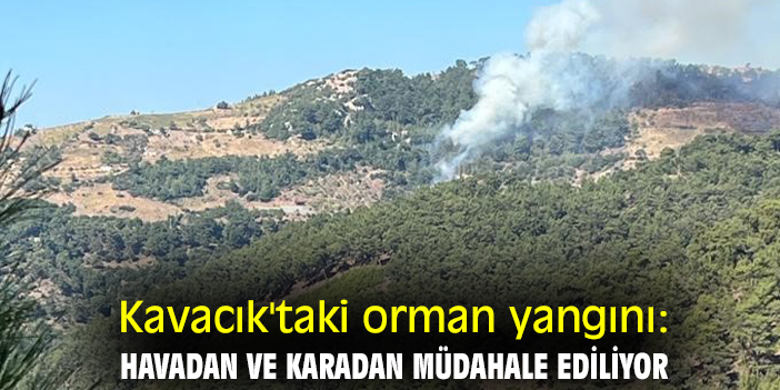 Kavacık'taki orman yangını: Havadan ve karadan müdahale ediliyor