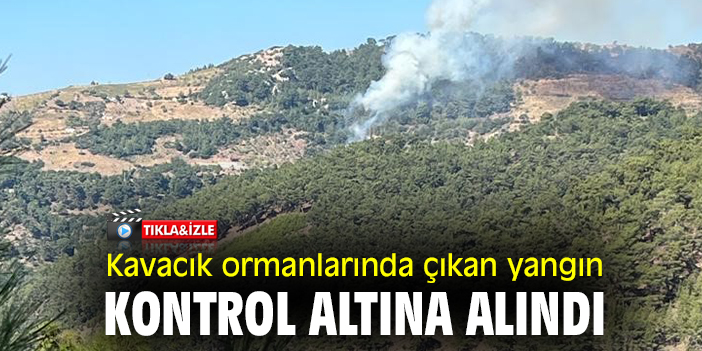 Kavacık ormanlarında çıkan yangın kontrol altına alındı