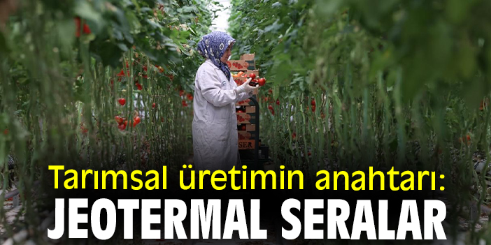 Tarımsal üretimin anahtarı: Jeotermal seralar