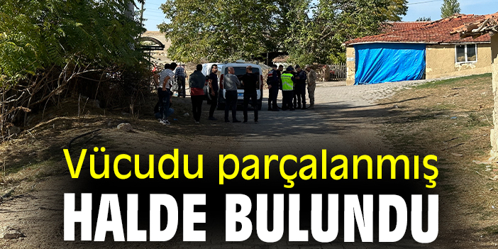 Vücudu parçalanmış halde bulundu