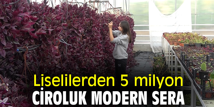 Liselilerden 5 milyon ciroluk sera