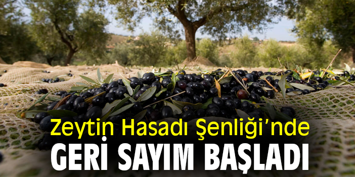 Zeytin Hasadı Şenliği’nde geri sayım başladı