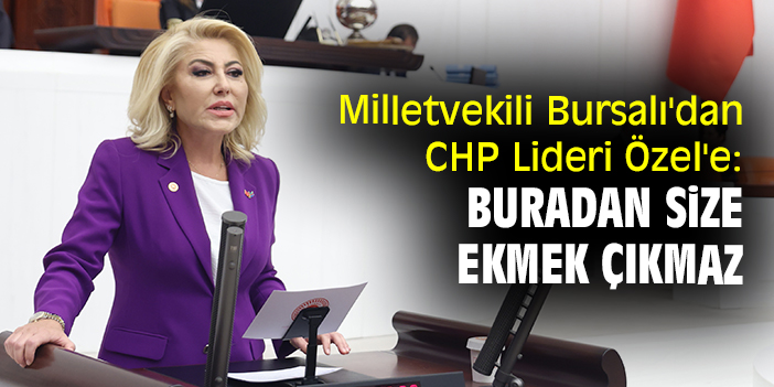 Milletvekili Bursalı'dan CHP Lideri Özel'e: Buradan size ekmek çıkmaz
