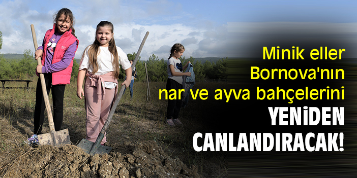 Minik eller Bornova'nın nar ve ayva bahçelerini yeniden canlandıracak!