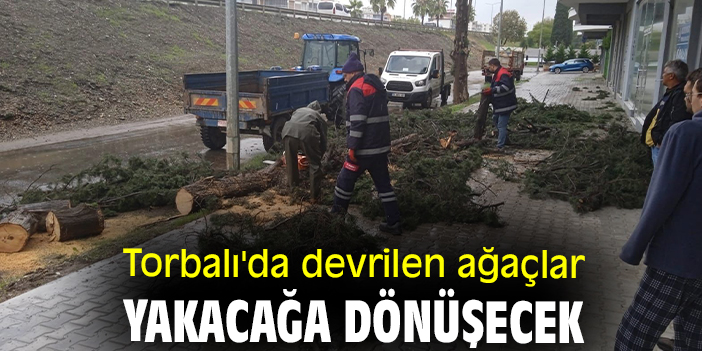 Torbalı'da devrilen ağaçlar yakacağa dönüşecek