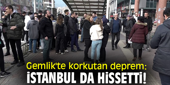 Gemlik'te korkutan deprem: İstanbul da hissetti!