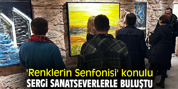 'Renklerin Senfonisi' konulu sergi sanatseverlerle buluştu