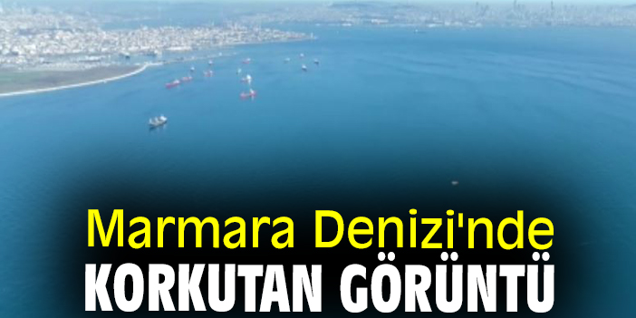 Marmara Denizi'nde korkutan görüntü