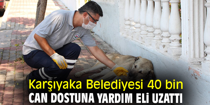 Karşıyaka Belediyesi 40 bin can dostuna yardım eli uzattı