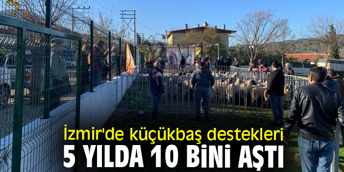 İzmir'de küçükbaş destekleri 5 yılda 10 bini aştı
