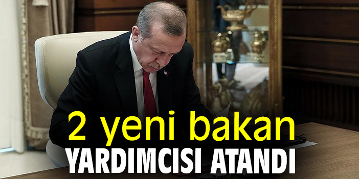 2 yeni bakan yardımcısı atandı