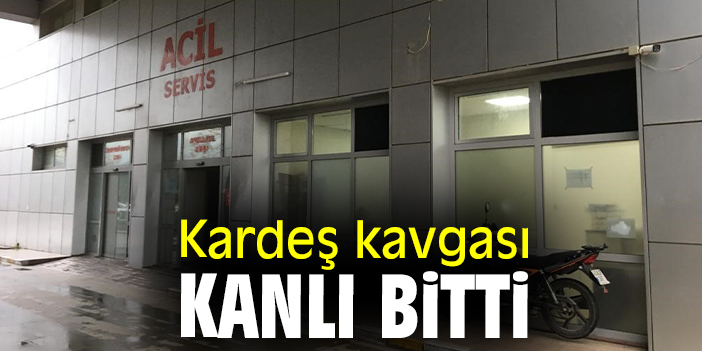 Kardeş kavgası kanlı bitti