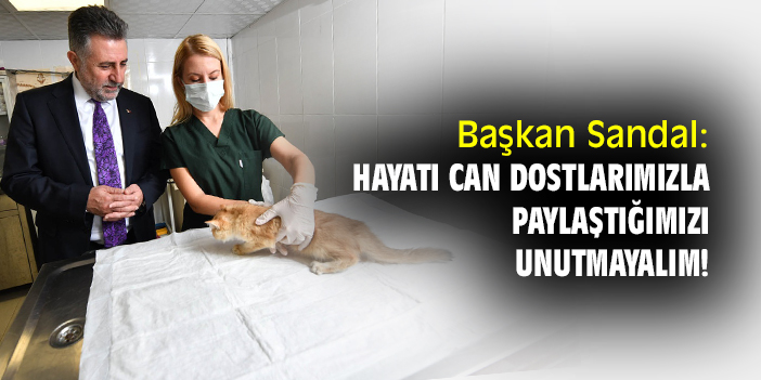 Başkan Sandal: Hayatı can dostlarımızla paylaştığımızı unutmayalım!