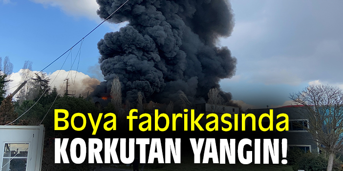 Boya fabrikasında korkutan yangın!