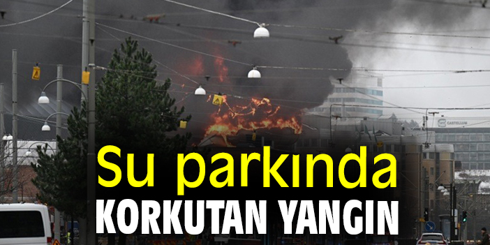 Su parkında korkutan yangın