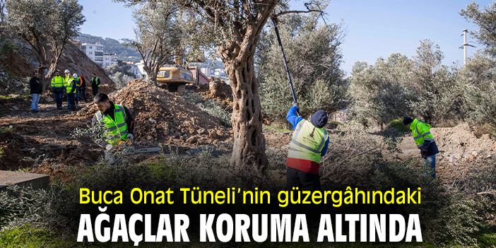 Buca Onat Tüneli’nin güzergâhındaki ağaçlar koruma altında
