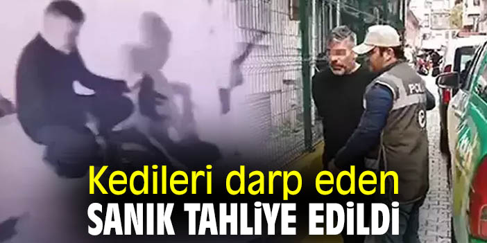 Kedileri darp eden sanık tahliye edildi