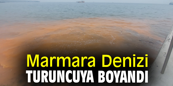Marmara Denizi turuncuya boyandı