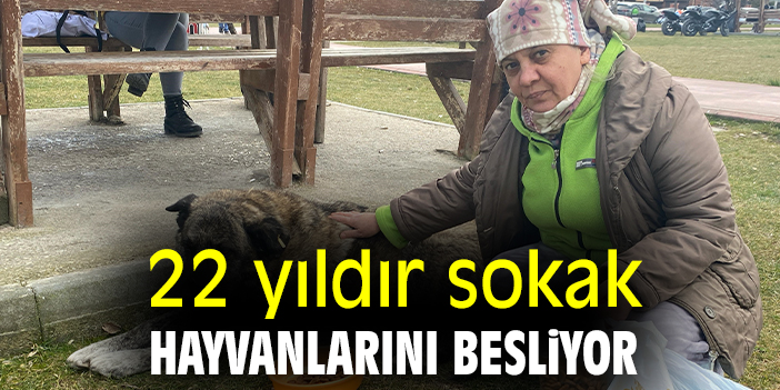 22 yıldır sokak hayvanlarını besliyor