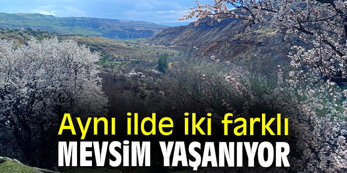 Aynı ilde iki farklı mevsim yaşanıyor