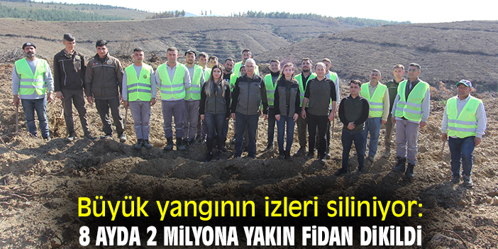 Büyük yangının izleri siliniyor: 8 ayda 2 milyona yakın fidan dikildi